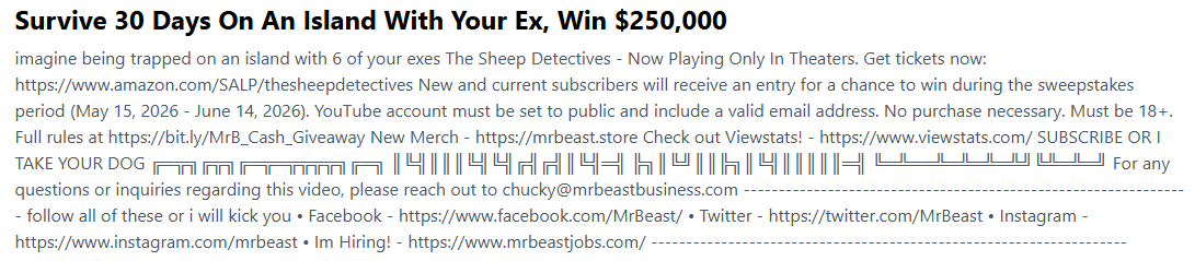 Video title and description shown after fetching a YouTube link